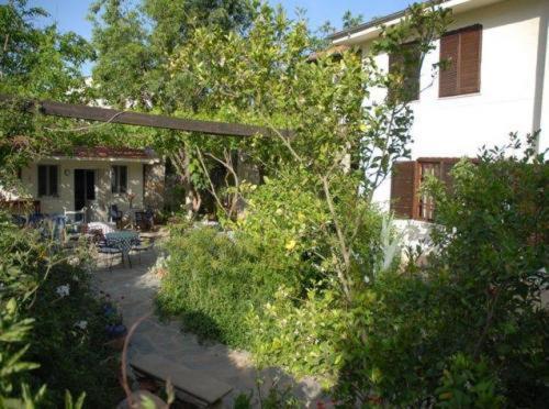 Hotel Misafir Evi à Kayakoy Extérieur photo